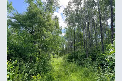 Tbd Brush Lake Lane, Park Rapids, MN 56470 - Photo 7