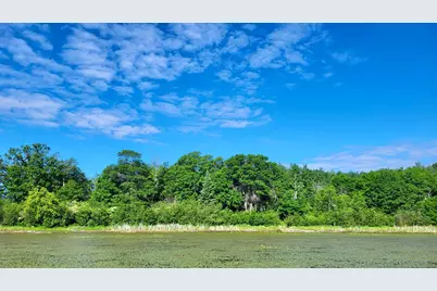 Tbd Brush Lake Lane, Park Rapids, MN 56470 - Photo 1