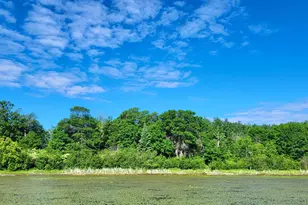 Tbd Brush Lake Ln, Park Rapids, MN 56470 - Photo 1