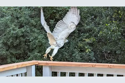 4584 Cinnamon Ridge Trail, Eagan, MN 55122 - Photo 17