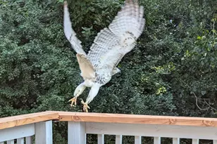 4584 Cinnamon Ridge Trail, Eagan, MN 55122 - Photo 17