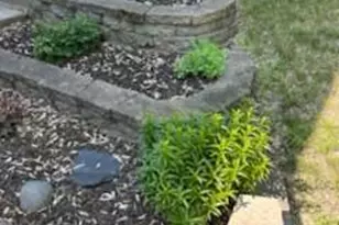 117 Crocus Ln, Monticello, MN 55362 - Photo 29