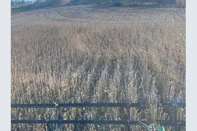 Tbd 430th Street, Pelican Rapids, MN 56572 - Photo 33