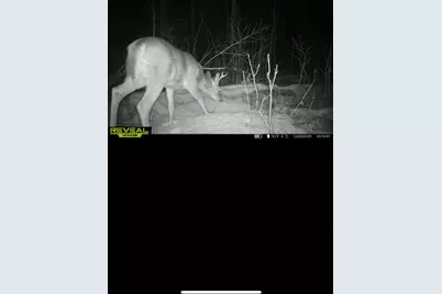 Tbd 30th Ave, Isle, MN 56342 - Photo 31