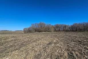 52503 150th St, Donnelly, MN 56235 - Photo 51