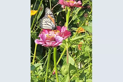 6944 Sheridan Avenue S, Richfield, MN 55423 - Photo 33