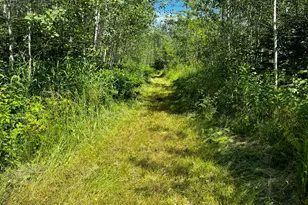 18219 Majestic Hideaway Wy, Nashwauk, MN 55769 - Photo 29