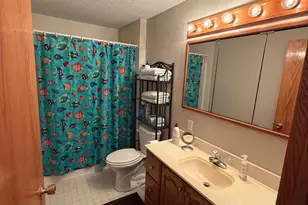 327 Golfview Dr, Albany, MN 56307 - Photo 29