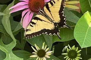 5424 30th Ave S, Minneapolis, MN 55417 - Photo 35