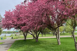 5424 30th Ave S, Minneapolis, MN 55417 - Photo 37