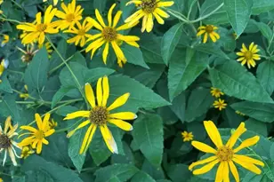 5424 30th Ave S, Minneapolis, MN 55417 - Photo 33