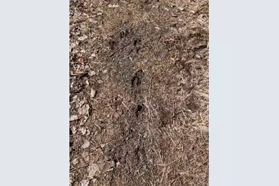 20Xx Quail Street, Mora, MN 55051 - Photo 17