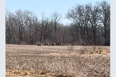 20Xx Quail Street, Mora, MN 55051 - Photo 1