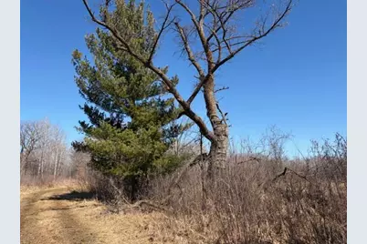 20Xx Quail Street, Mora, MN 55051 - Photo 9