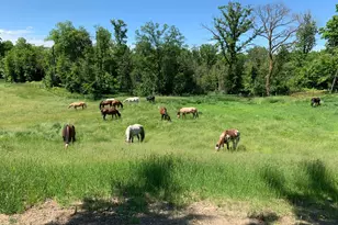 21168 Klein Rd, Detroit Lakes, MN 56501 - Photo 97