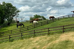 21168 Klein Rd, Detroit Lakes, MN 56501 - Photo 109