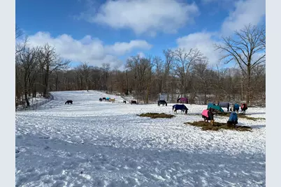 21168 Klein Road, Detroit Lakes, MN 56501 - Photo 107