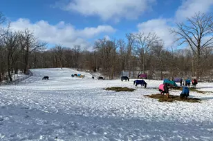 21168 Klein Rd, Detroit Lakes, MN 56501 - Photo 107