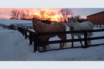 21168 Klein Road, Detroit Lakes, MN 56501 - Photo 63