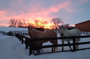 21168 Klein Rd, Detroit Lakes, MN 56501 - Photo 63