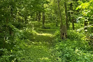 21168 Klein Rd, Detroit Lakes, MN 56501 - Photo 89