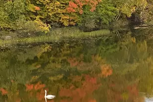 21168 Klein Rd, Detroit Lakes, MN 56501 - Photo 101