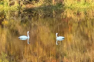 21168 Klein Rd, Detroit Lakes, MN 56501 - Photo 95