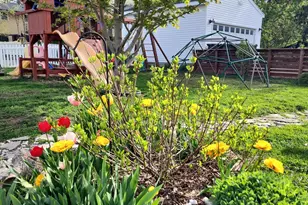 3021 31st Ave NE, Saint Anthony, MN 55418 - Photo 39