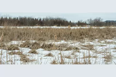 Tbd Sunny Acres Road NE, Nelson, MN 56355 - Photo 51