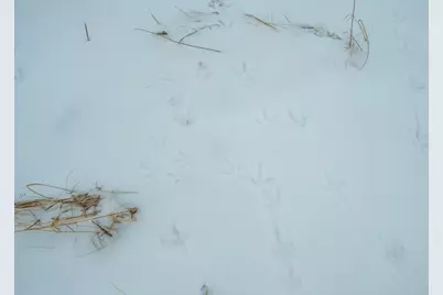 Tbd Sunny Acres Road NE, Nelson, MN 56355 - Photo 59