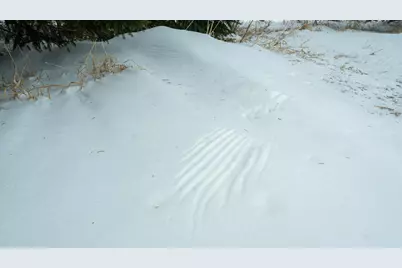 Tbd Sunny Acres Road NE, Nelson, MN 56355 - Photo 61