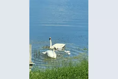 21168 Klein Road #1, Detroit Lakes, MN 56501 - Photo 77