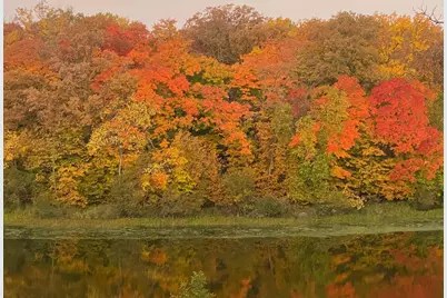 21168 Klein Road #1, Detroit Lakes, MN 56501 - Photo 101