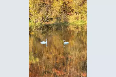 21168 Klein Road #1, Detroit Lakes, MN 56501 - Photo 93