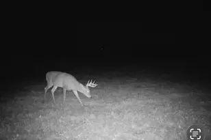 8646 170th St, Milaca, MN 56353 - Photo 31