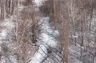 8646 170th St, Milaca, MN 56353 - Photo 27