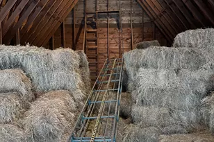 21510 430th Ave, Morris, MN 56267 - Photo 41