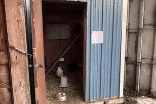 21510 430th Ave, Morris, MN 56267 - Photo 43