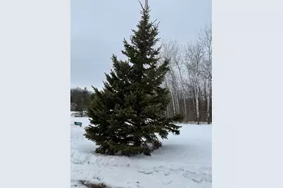 16236 305th Avenue, Detroit Lakes, MN 56501 - Photo 53