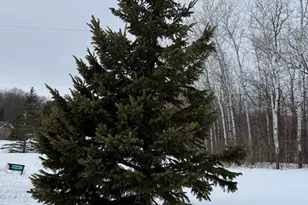 16236 305 Ave, Detroit Lakes, MN 56501 - Photo 53