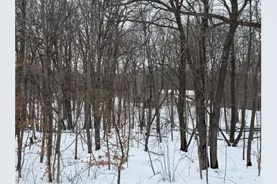 16236 305th Avenue, Detroit Lakes, MN 56501 - Photo 3