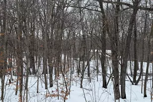 16236 305 Ave, Detroit Lakes, MN 56501 - Photo 3