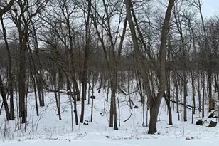 16236 305 Ave, Detroit Lakes, MN 56501 - Photo 45