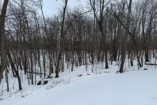 16236 305 Ave, Detroit Lakes, MN 56501 - Photo 45