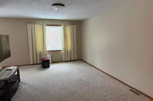 16236 305 Ave, Detroit Lakes, MN 56501 - Photo 33