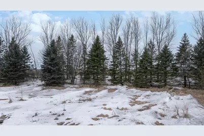 37485 155th Avenue, Eagle Bend, MN 56446 - Photo 57