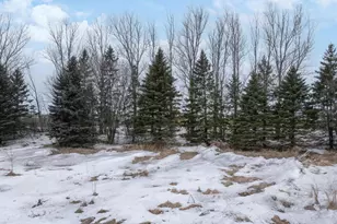 37485 155th Ave, Eagle Bend, MN 56446 - Photo 57