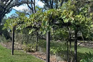 15017 Stevens Ave, Burnsville, MN 55306 - Photo 7