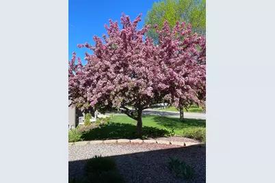 932 Deerfield Road, Watertown, MN 55388 - Photo 49