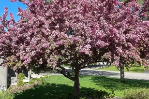 932 Deerfield Rd, Watertown, MN 55388 - Photo 49